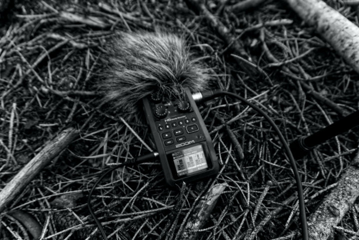 What is: Field Recording?