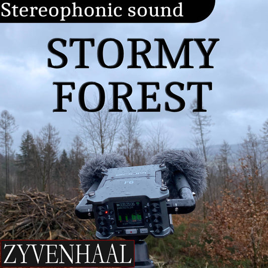 stormy-forest-field-recording-audio-sound-libraries